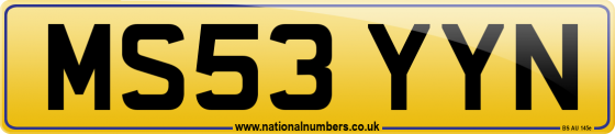 MS53 YYN