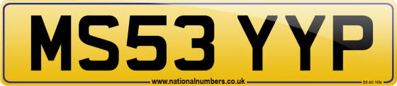 MS53 YYP