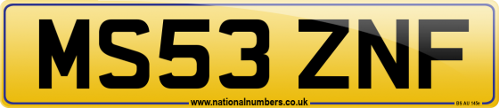 MS53 ZNF