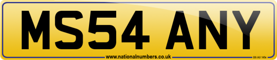 MS54 ANY