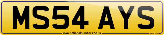 MS54 AYS