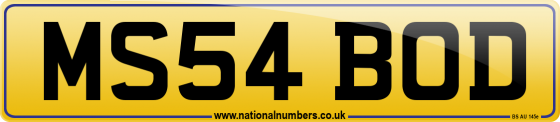 MS54 BOD