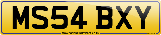 MS54 BXY