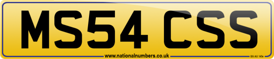 MS54 CSS