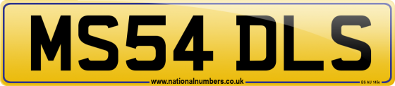MS54 DLS