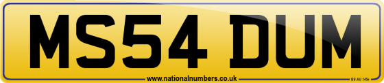 MS54 DUM