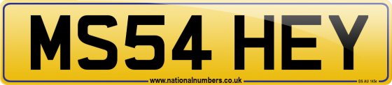 MS54 HEY