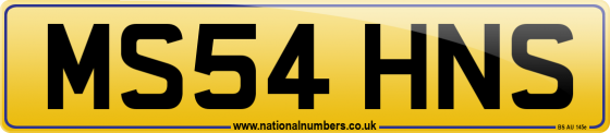 MS54 HNS