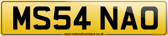 MS54 NAO