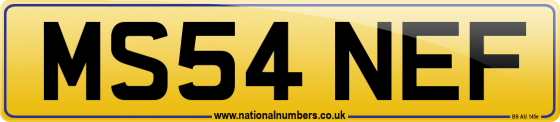 MS54 NEF