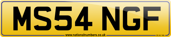MS54 NGF