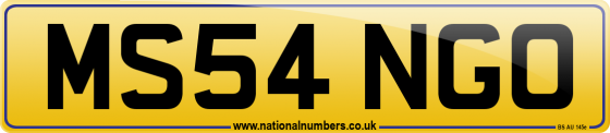 MS54 NGO