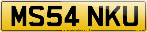 MS54 NKU