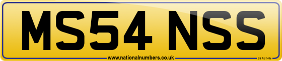 MS54 NSS