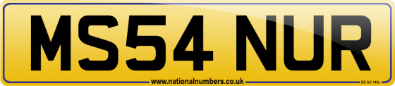 MS54 NUR