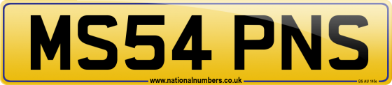 MS54 PNS