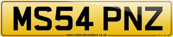 MS54 PNZ