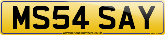 MS54 SAY