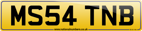 MS54 TNB