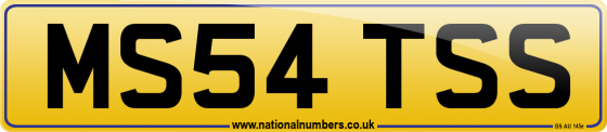 MS54 TSS