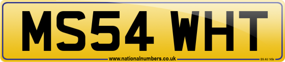 MS54 WHT