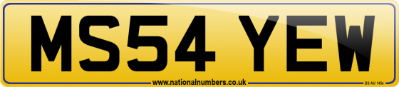 MS54 YEW
