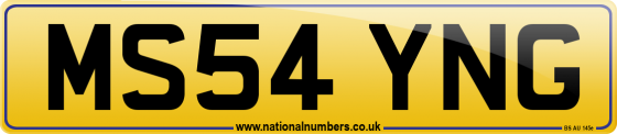 MS54 YNG