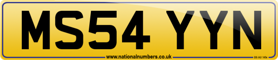 MS54 YYN