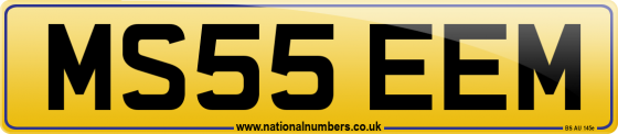 MS55 EEM