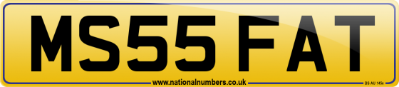 MS55 FAT