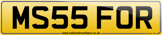 MS55 FOR