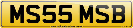 MS55 MSB