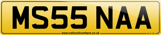 MS55 NAA