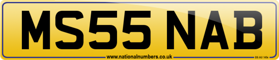 MS55 NAB