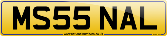 MS55 NAL