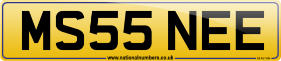 MS55 NEE