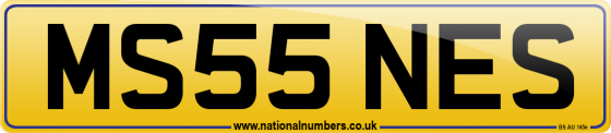 MS55 NES