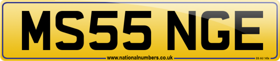 MS55 NGE