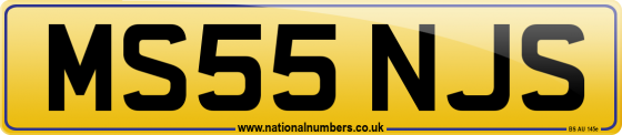 MS55 NJS