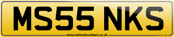 MS55 NKS