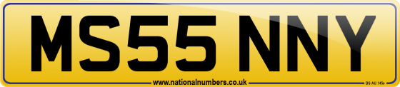 MS55 NNY