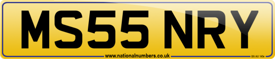MS55 NRY