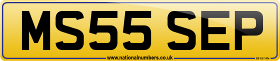 MS55 SEP
