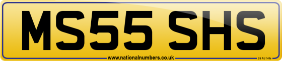 MS55 SHS