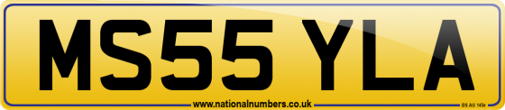 MS55 YLA