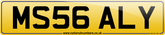 MS56 ALY