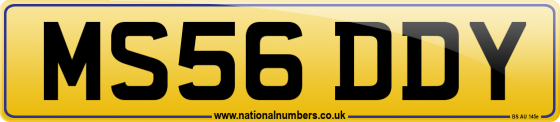 MS56 DDY