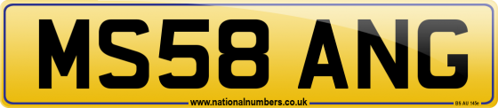 MS58 ANG