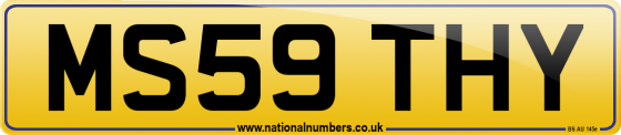 MS59 THY
