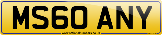 MS60 ANY